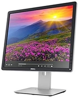 DeLL P1914SF / 19" ✅ S-iPS / в отличном состоянии / есть опт